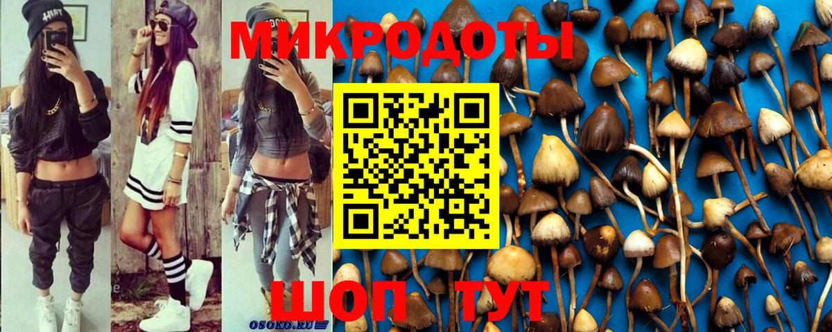 Псилоцибиновые грибы MAGIC MUSHROOMS Екатеринбург