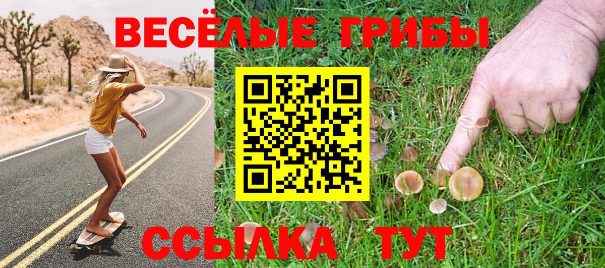 Псилоцибиновые грибы мухоморы  Вход с VPN  Екатеринбург 